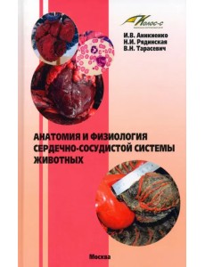 Анатомия и физиология сердечно-сосудистой системы животных