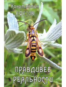 Правдивее реальности Правдивее реальности