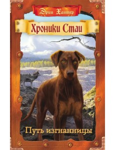 Путь изгнанницы Путь изгнанницы