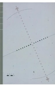 Полярный альманах 2011