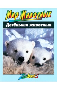 Детеныши животных