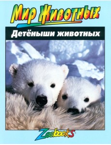 Детеныши животных Детеныши животных