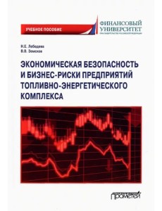 Экономическая безопасность и бизнес-риски предприятий топливно-энергетического комплекса