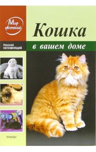 Кошка в вашем доме
