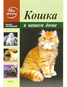 Кошка в вашем доме Кошка в вашем доме