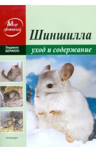 Шиншилла. Уход и содержание в домашних условиях
