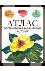 Атлас. Бактерии, грибы, лишайники, растения