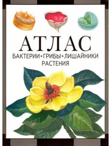Атлас. Бактерии, грибы, лишайники, растения Атлас. Бактерии, грибы, лишайники, растения