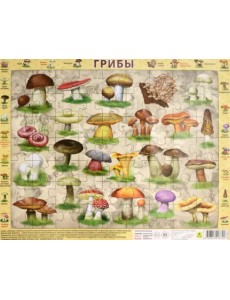 Пазл на подложке. Грибы, 63 элемента Пазл на подложке. Грибы, 63 элемента