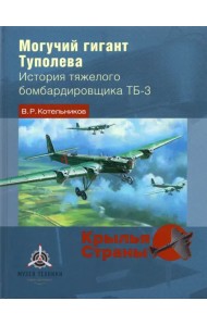Могучий гигант Туполева. История тяжелого бомбардировщика ТБ-3