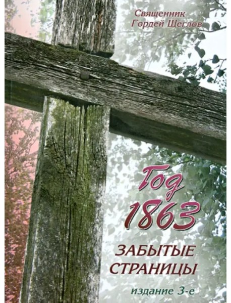 Год 1863. Забытые страницы