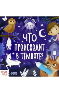Книга с фонариком Что происходит в темноте?