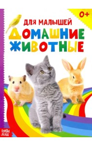 Домашние животные