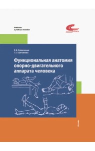 Функциональная анатомия опорно-двигательного аппарата человека