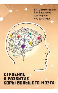 Строение и развитие коры большого мозга