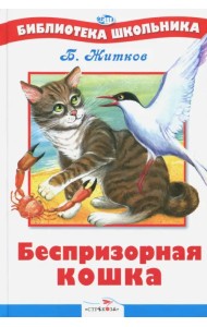 Беспризорная кошка