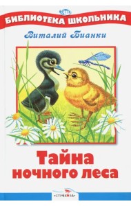 Тайна ночного леса