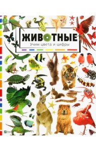 Животные. Учим цвета и цифры