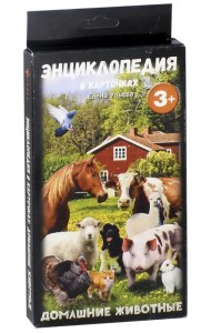 Набор карточек. Домашние животные