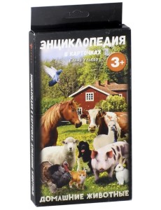 Набор карточек. Домашние животные