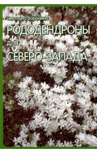 Рододендроны для Северо-Запада