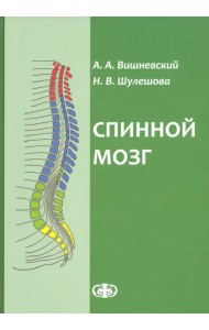 Спинной мозг. Клинические и патофизиологические сопоставления