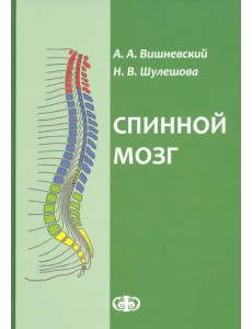 Спинной мозг. Клинические и патофизиологические сопоставления Спинной мозг. Клинические и патофизиологические сопоставления
