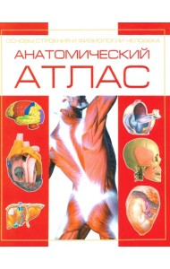 Анатомический атлас. Основы строения и физиологии человека