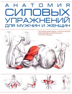 Анатомия силовых упражнений для мужчин и женщин Анатомия силовых упражнений для мужчин и женщин