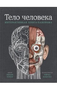 Тело человека. Интерактивная книга-панорама
