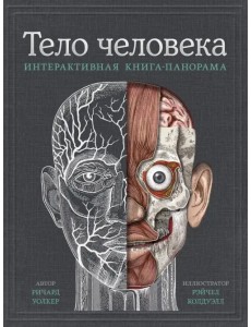 Тело человека. Интерактивная книга-панорама