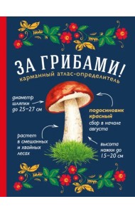 За грибами. Карманный атлас-определитель