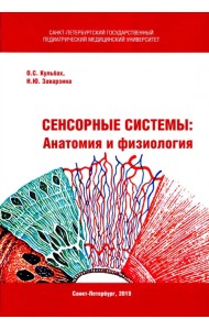 Сенсорные системы. Анатомия и физиология