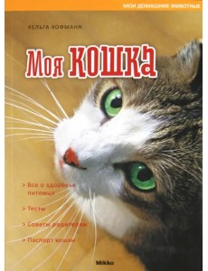 Моя кошка