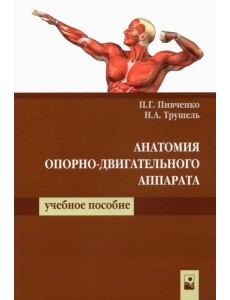 Анатомия опорно-двигательного аппарата