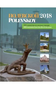 Полевской -2018. 300 сюжетов из жизни города