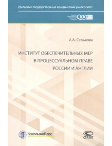 Институт обеспечительных мер в процессуальном праве России и Англии