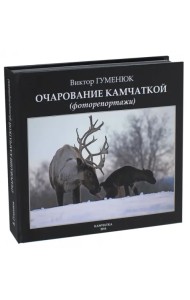 Очарование Камчаткой. Фоторепортажи