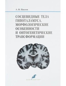 Сосцевидные тела гипоталамуса. Морфологические особенности и онтогенетические трансформации Сосцевидные тела гипоталамуса. Морфологические особенности и онтогенетические трансформации