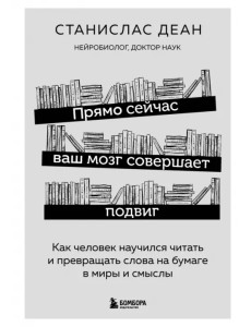 Прямо сейчас ваш мозг совершает подвиг. Как человек научился читать