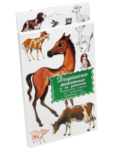 Дидактические карточки. Домашние животные и их детеныши Дидактические карточки. Домашние животные и их детеныши