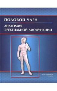 Половой член. Анатомия эректильной дисфункции