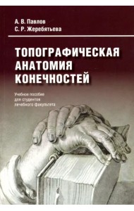 Топографическая анатомия конечностей