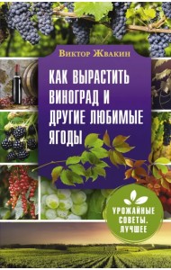 Как вырастить виноград и другие любимые ягоды. Простые и понятные инструкции для начинающих