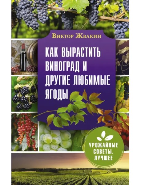 Как вырастить виноград и другие любимые ягоды. Простые и понятные инструкции для начинающих