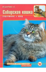 Сибирская кошка. Содержание и уход