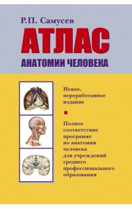 Атлас анатомии человека