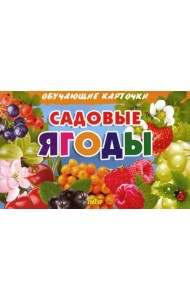 Комплект карточек. Садовые ягоды 