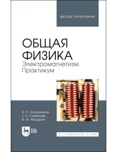 Общая физика. Электромагнетизм. Практикум. Учебное пособие Общая физика. Электромагнетизм. Практикум. Учебное пособие