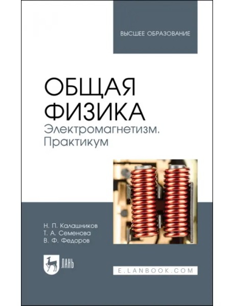 Общая физика. Электромагнетизм. Практикум. Учебное пособие